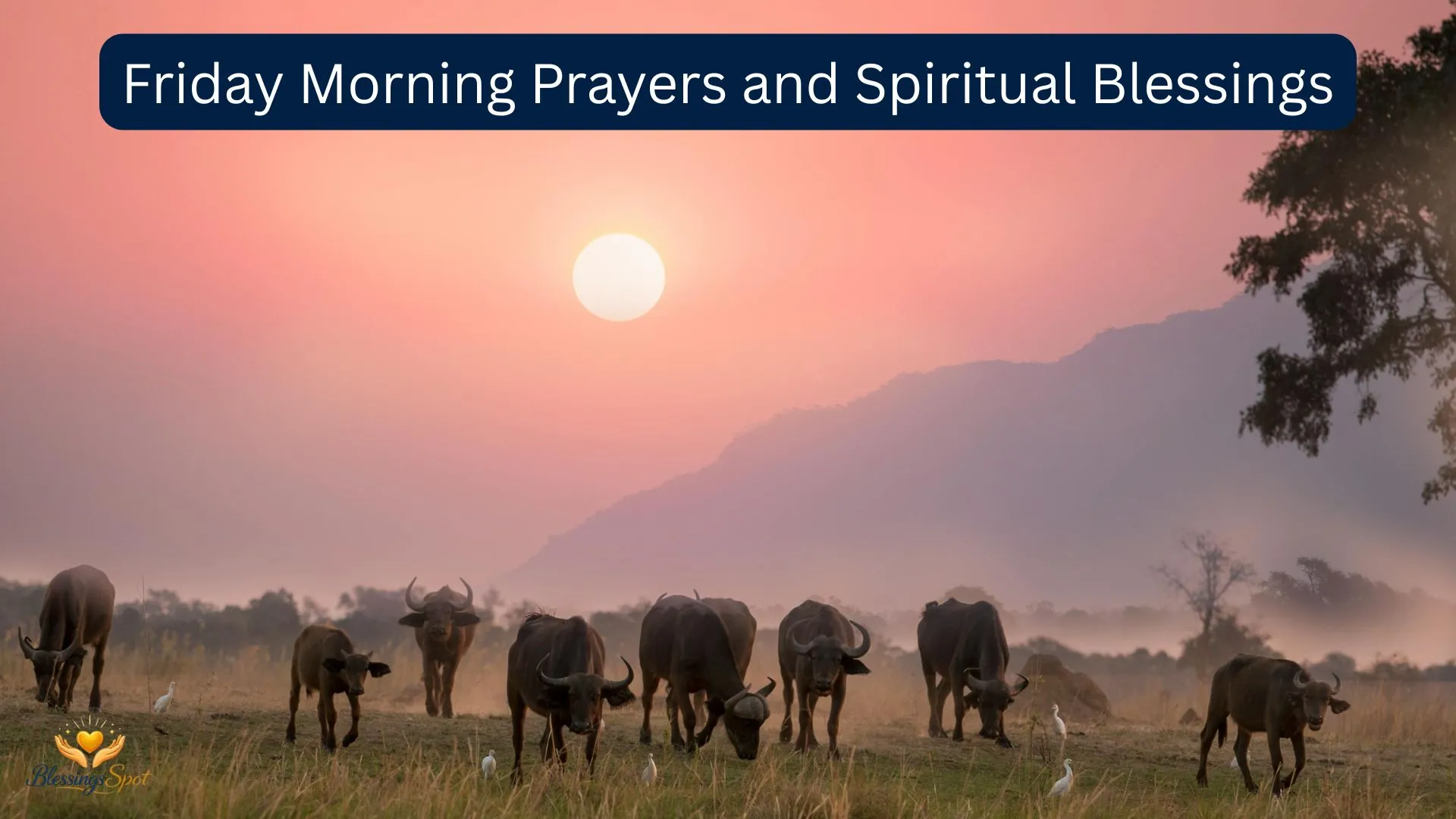 Friday Morning Prayers and Spiritual Blessings