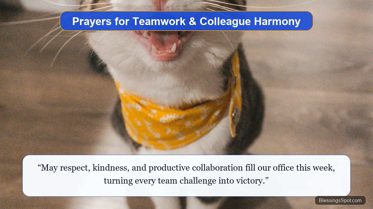 Monday morning prayers for teamwork showing diverse colleagues collaborating in a bright modern office.