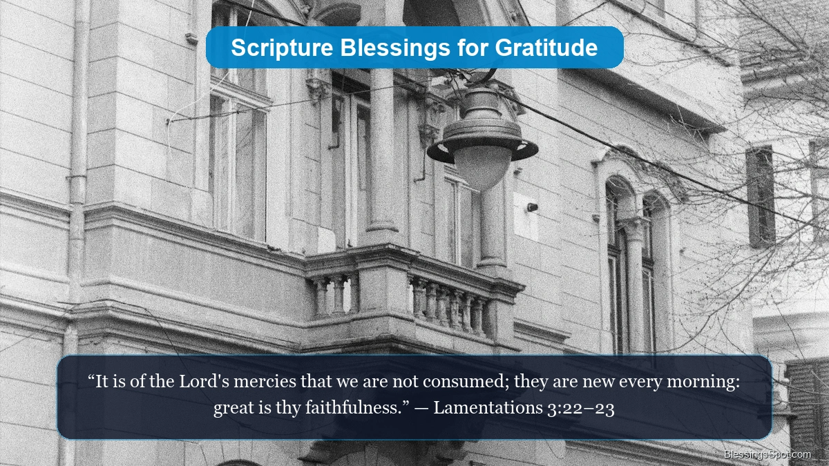 Morning scripture blessings for gratitude showing warm morning sunlight on open scriptures.