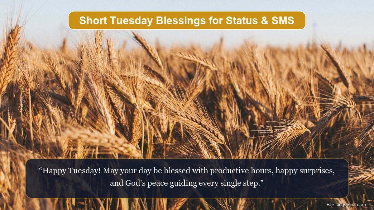 Short Tuesday blessings showing an open peaceful sky with morning warmth.