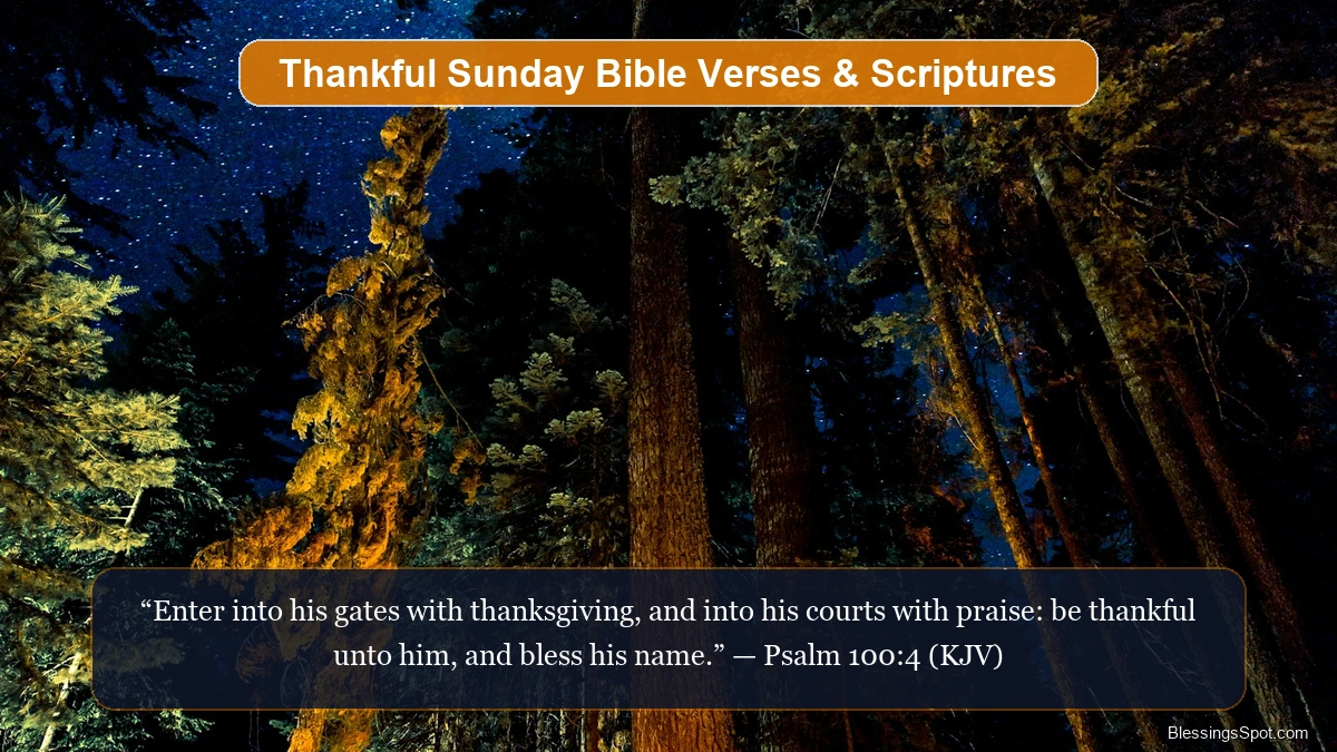 Thankful Sunday Bible verses and scriptures showing an open Holy Bible bathed in soft morning sunlight.