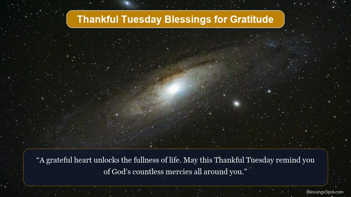 Thankful Tuesday blessings for gratitude showing peaceful golden light touching green nature.