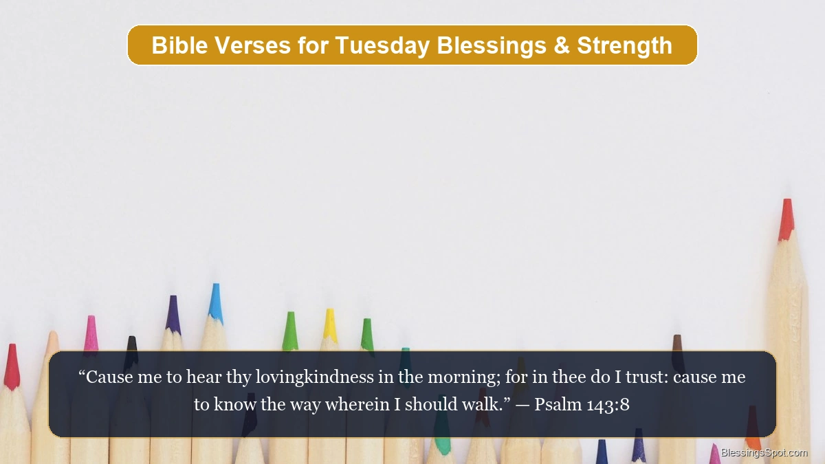 Bible verses for Tuesday blessings showing gentle morning rays in quiet contemplation.