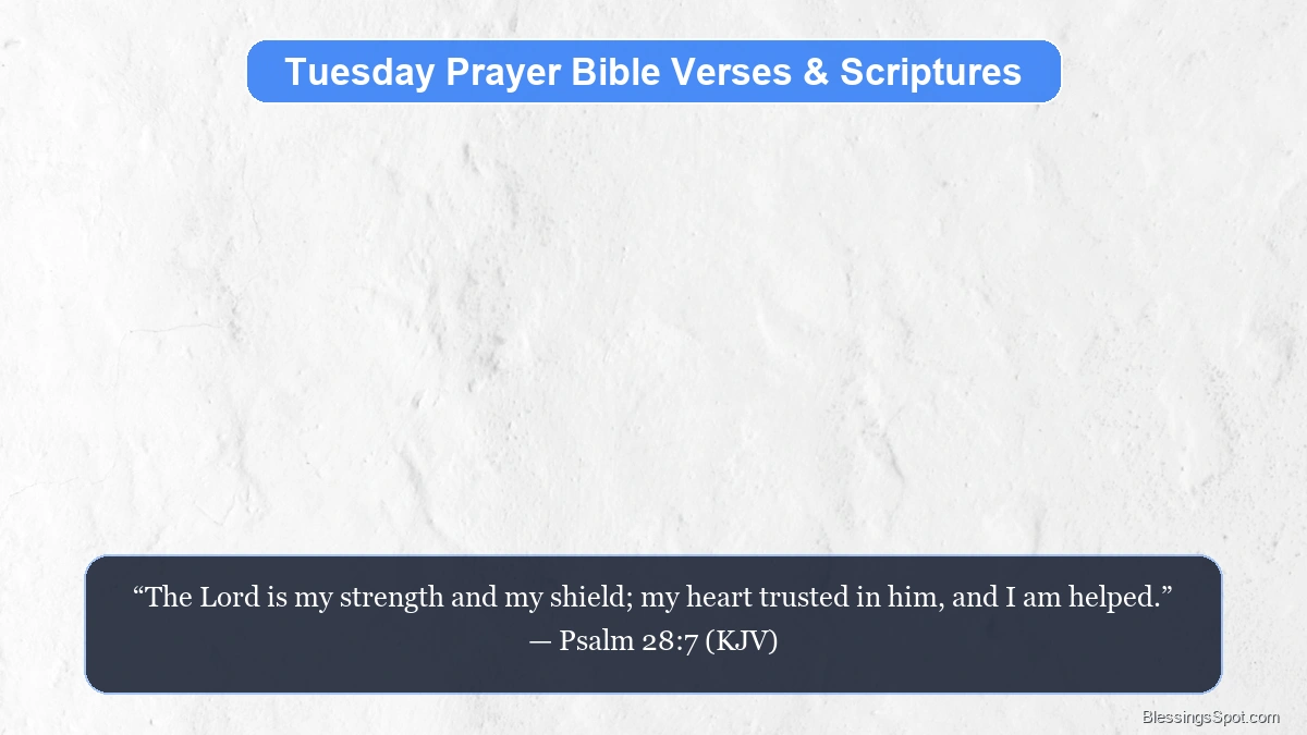 Tuesday prayer Bible verses and scriptures showing an open Holy Bible softly illuminated by morning sunlight.