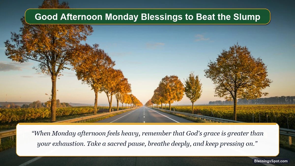 Good afternoon Monday blessings to overcome midday fatigue showing a sunlit avenue of green trees.