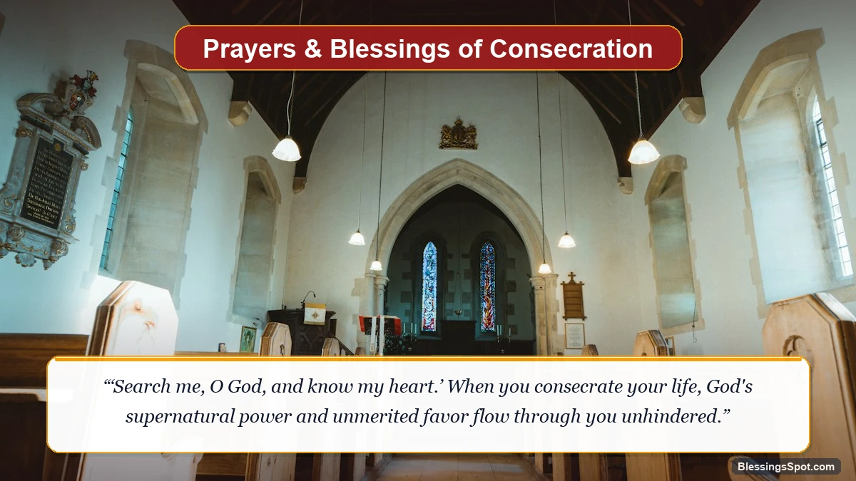 What does consecrate mean in the Bible showing glorious sunbeams breaking through forest canopy in divine revelation.