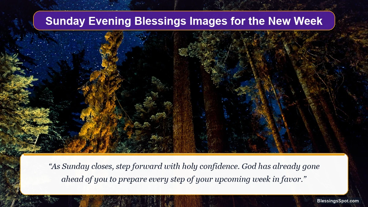 Sunday evening blessings images for the new week showing a peaceful sun-dappled forest pathway at twilight.
