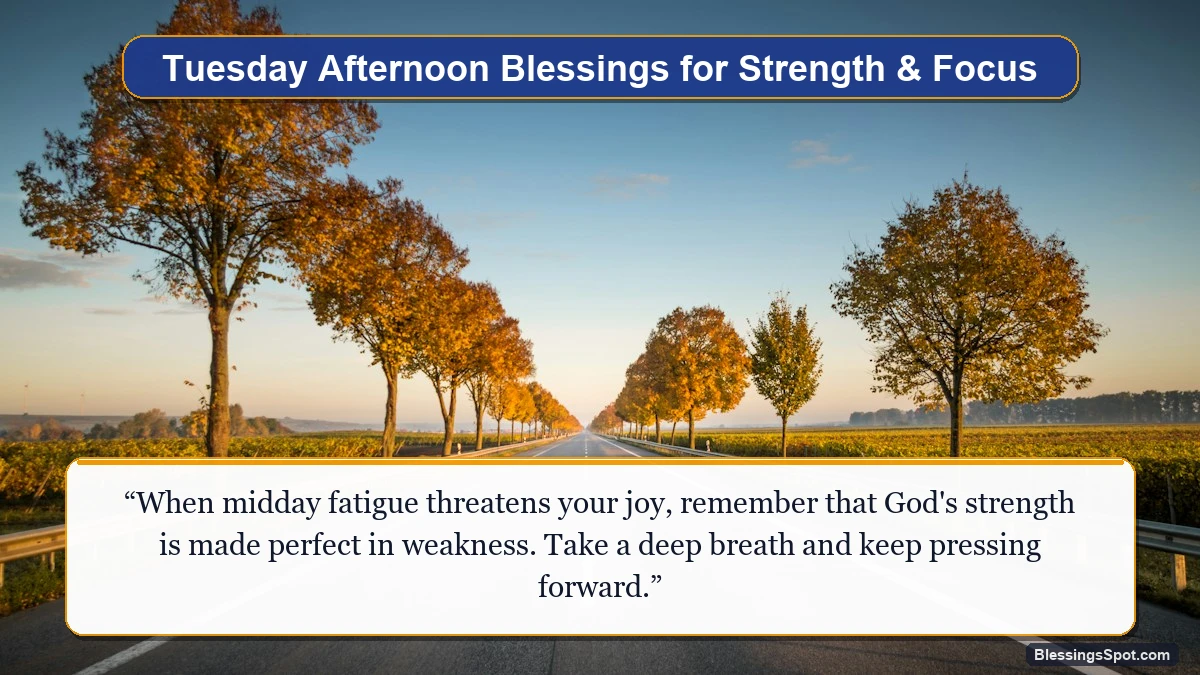 Tuesday afternoon blessings for strength and focus showing a peaceful tree-lined avenue bathed in warm afternoon sunlight.